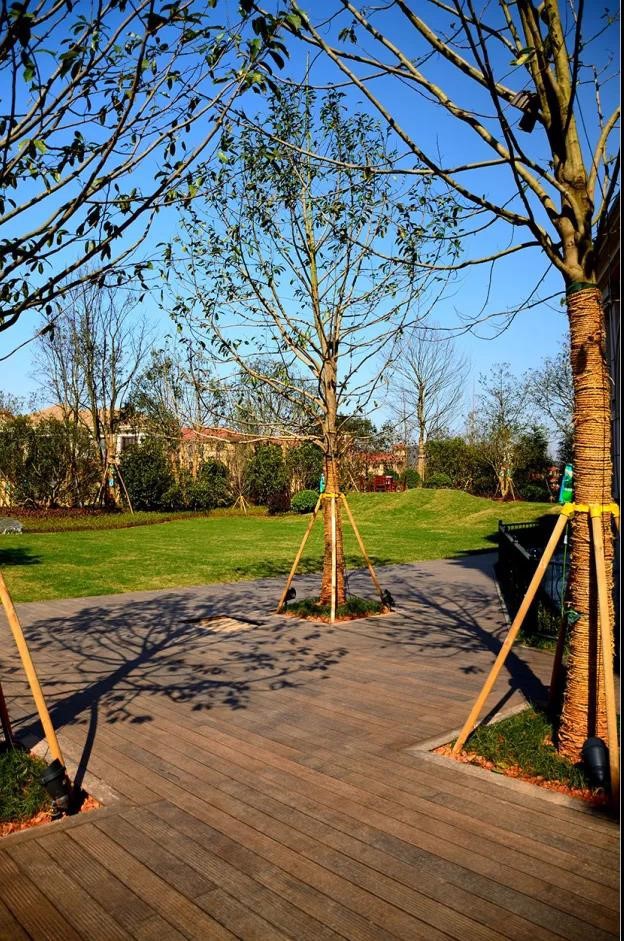 SKOSMO Bamboo projects 2 SKOSMO Bamboo projects 2