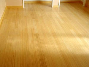 Bamboo Flooring